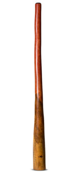 Tristan O'Meara Didgeridoo (TM308)